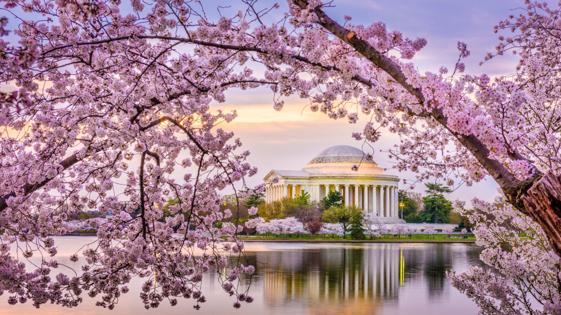 A Building With A Dome And Pink Blossoms On The Trees